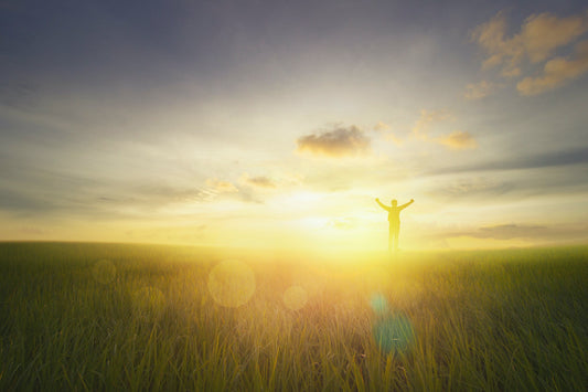 An image of a man in an abundant field filled with light