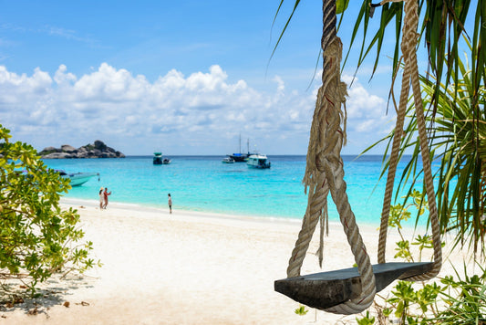 An image with a swing at a beach